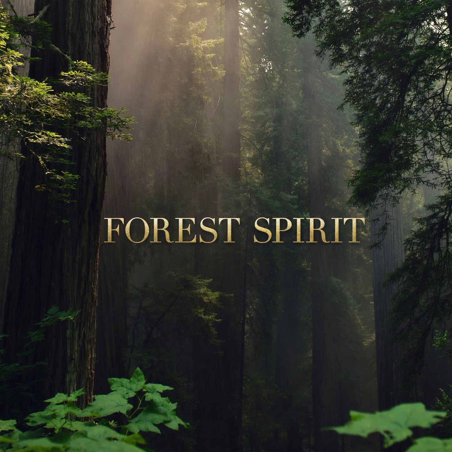 Forest Spirit